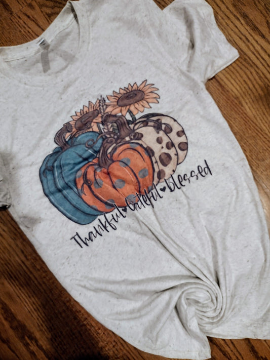 Thankful and blessed pumpkin shirt
