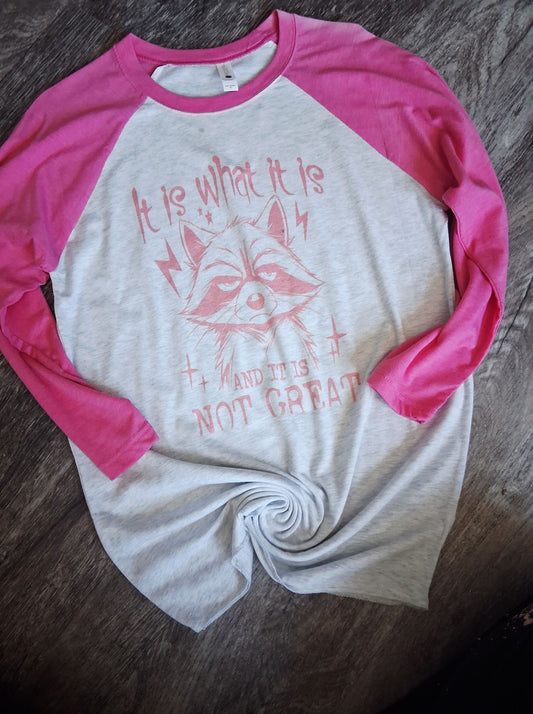 It is what it is raglan